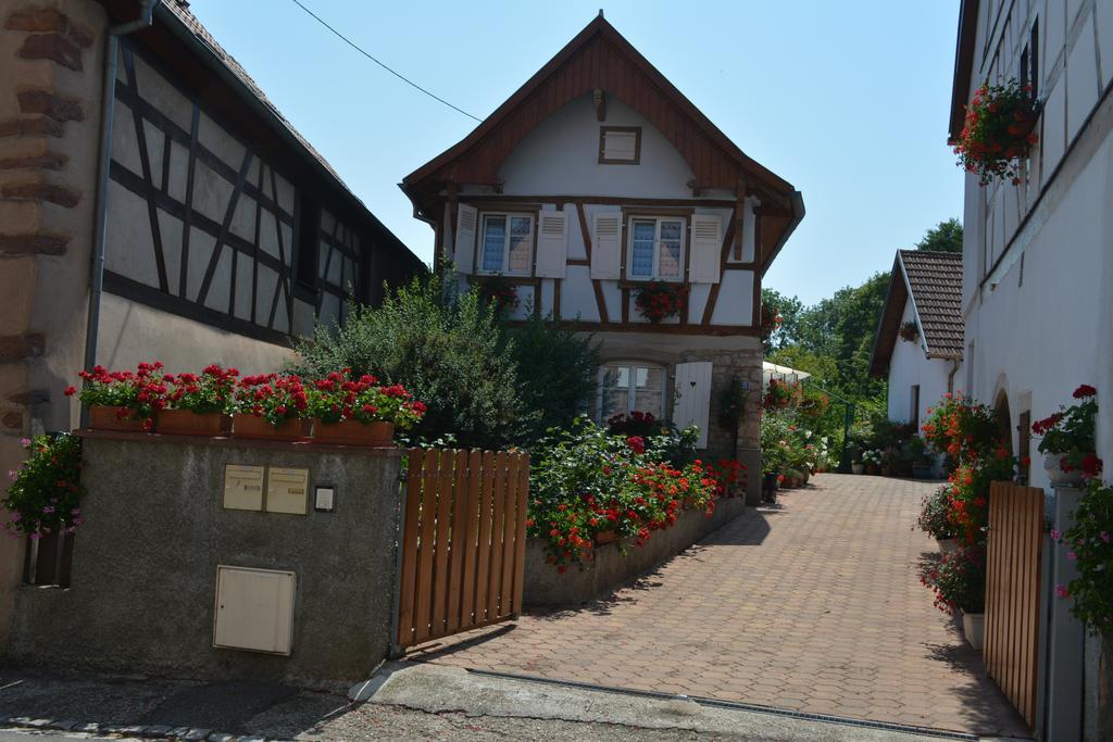 Location Alice Villa Ottrott Oda fotoğraf