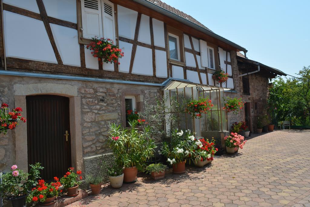 Location Alice Villa Ottrott Oda fotoğraf